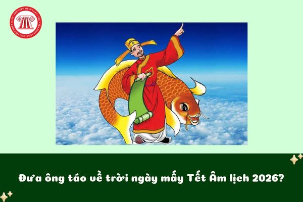 Pháp luật