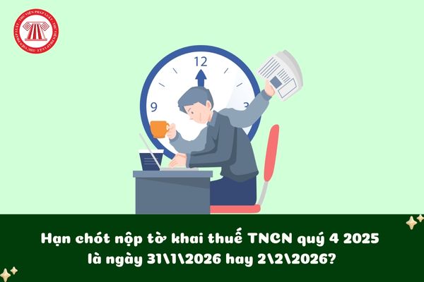 Pháp luật