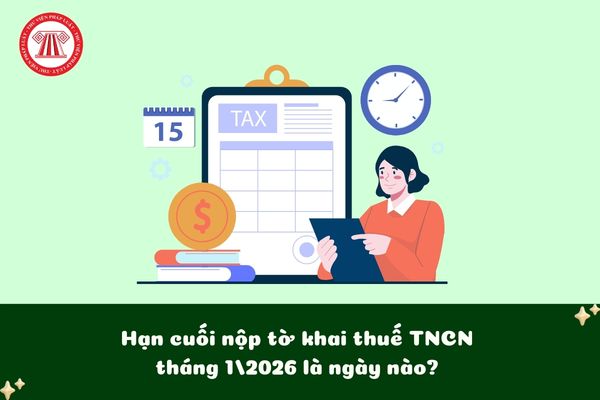 Pháp luật