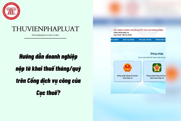 Pháp luật