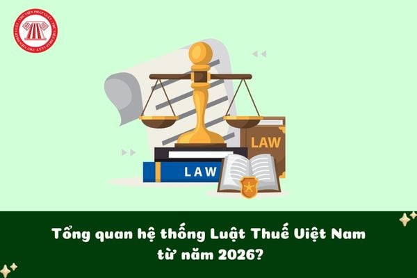 Tổng quan hệ thống Luật Thuế Việt Nam từ năm 2026?
