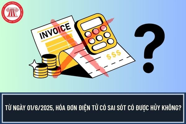 Từ ngày 01/6/2025, hóa đơn điện tử có sai sót có được hủy không? 