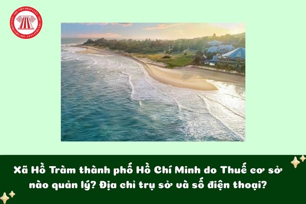 Pháp luật
