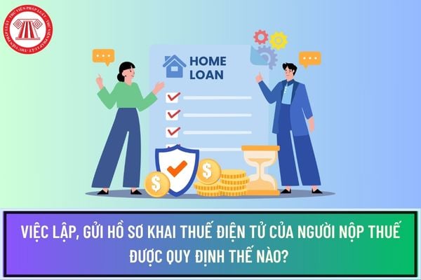 Pháp luật