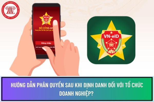 Pháp luật