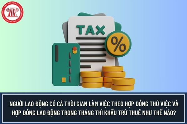 Pháp luật
