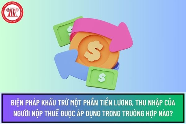 Pháp luật