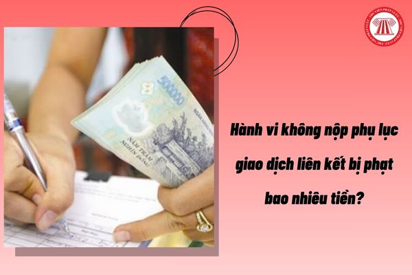 Pháp luật