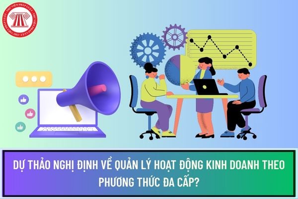 Pháp luật