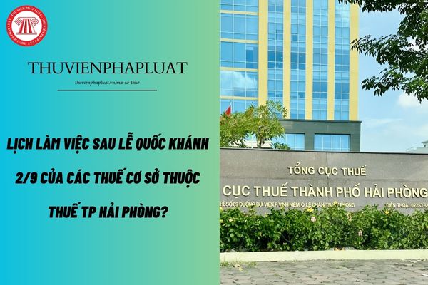 Pháp luật