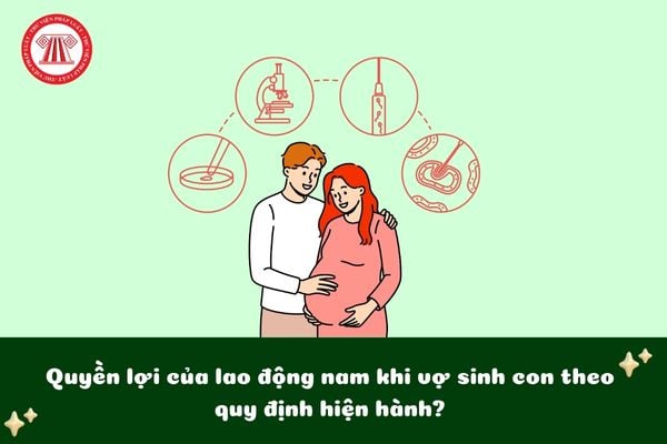 Pháp luật