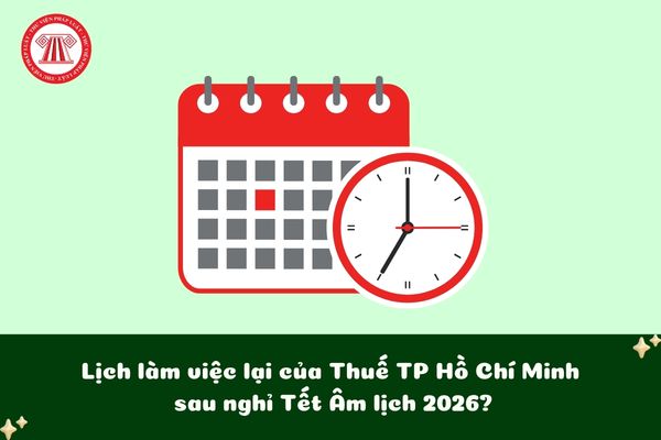 Lịch làm việc lại của Thuế TP Hồ Chí Minh sau nghỉ Tết Âm lịch 2026?
