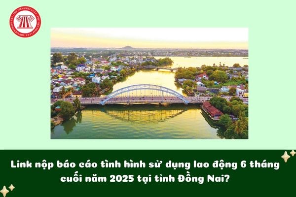 Link nộp báo cáo tình hình sử dụng lao động 6 tháng cuối năm 2025 tại tỉnh Đồng Nai?