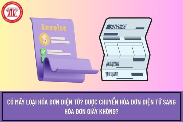 Có mấy loại hóa đơn điện tử? Được chuyển hóa đơn điện tử sang hóa đơn giấy không?