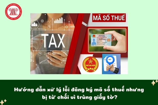 Pháp luật