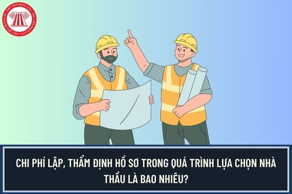 Pháp luật
