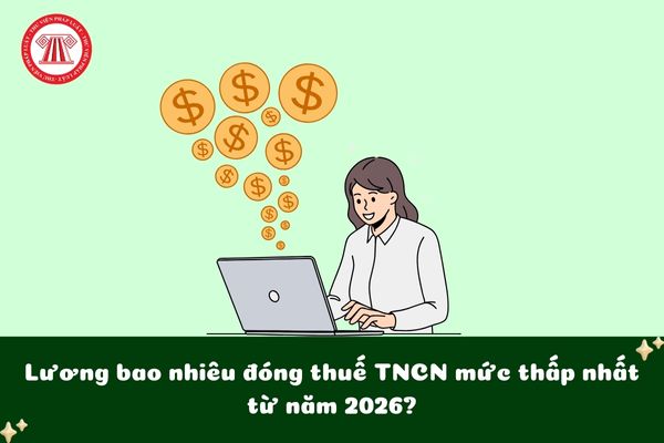 Pháp luật