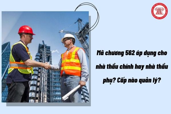 Pháp luật