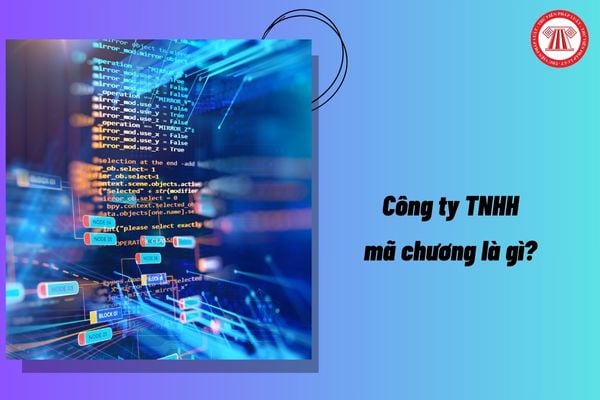 Pháp luật