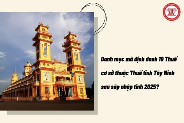 Pháp luật