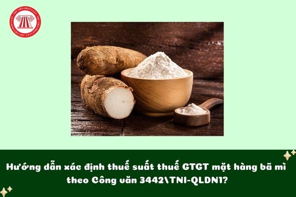 Hướng dẫn xác định thuế suất thuế GTGT mặt hàng bã mì theo Công văn 3442/TNI-QLDN1?
