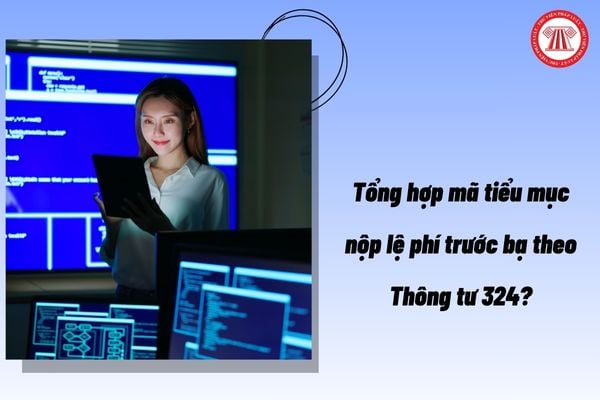 Pháp luật