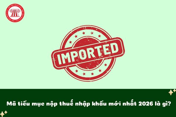 Pháp luật
