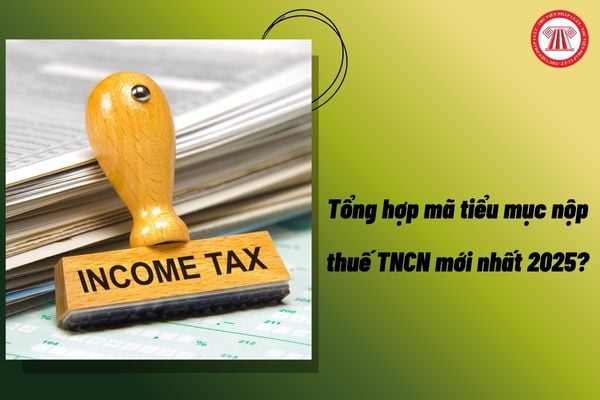 Pháp luật