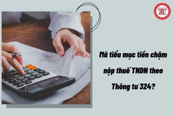 Pháp luật