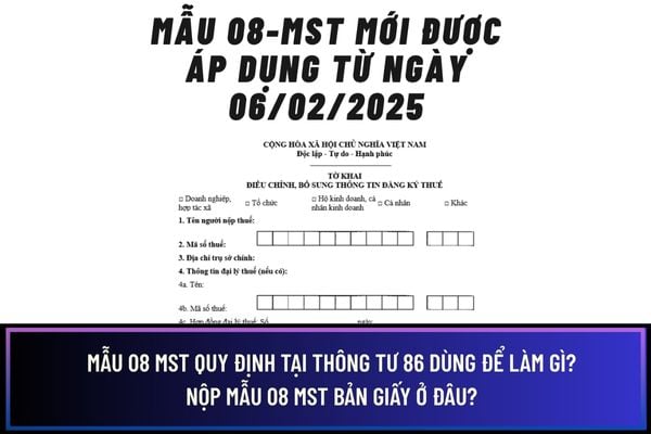 Mẫu 08 MST quy định tại Thông tư 86 dùng để làm gì? Nộp mẫu 08 MST bản giấy ở đâu? 