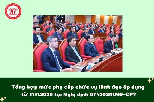Pháp luật
