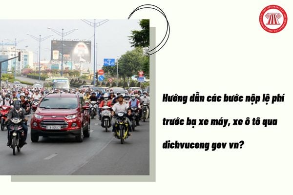 Pháp luật