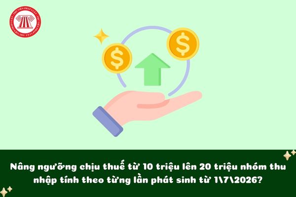 Pháp luật
