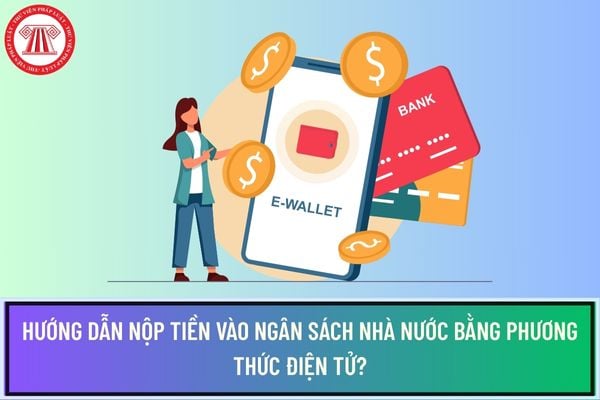 Pháp luật