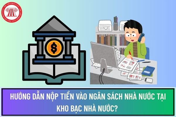 Pháp luật