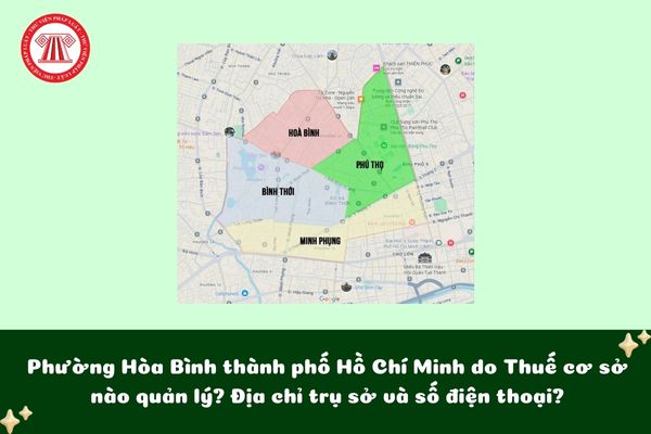 Pháp luật