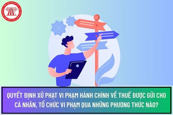 Pháp luật