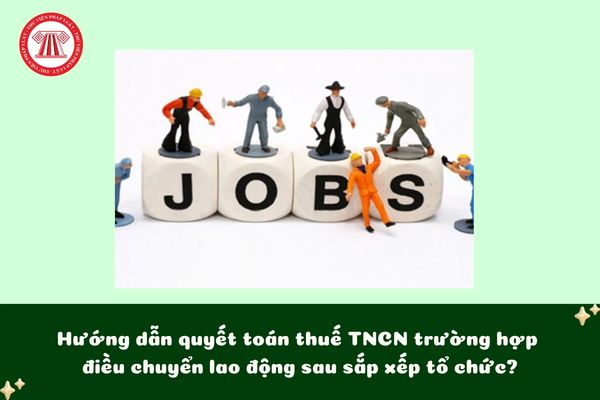 Pháp luật