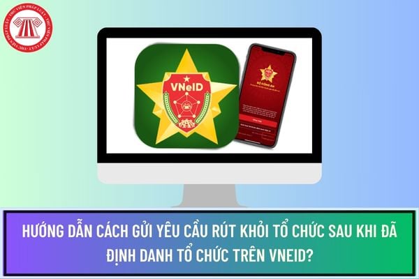 Pháp luật