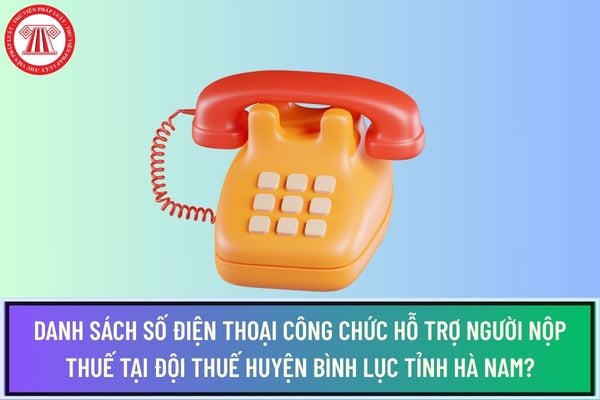 Pháp luật