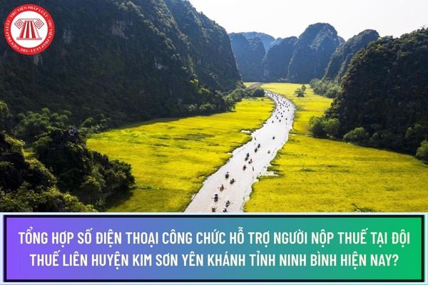 Pháp luật