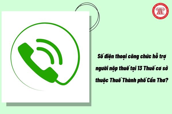Pháp luật