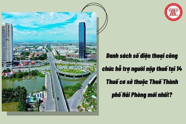 Pháp luật