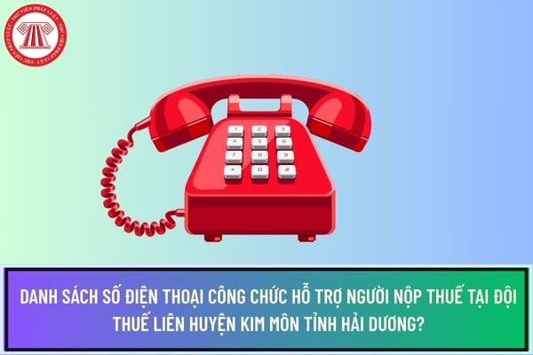 Pháp luật