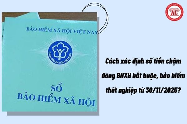 Pháp luật