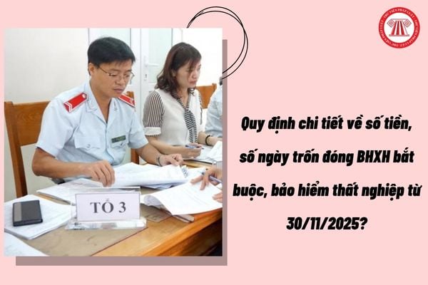 Pháp luật