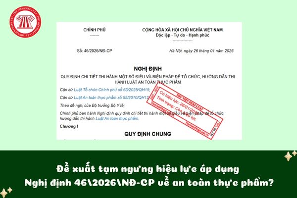 Pháp luật