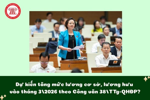 Pháp luật