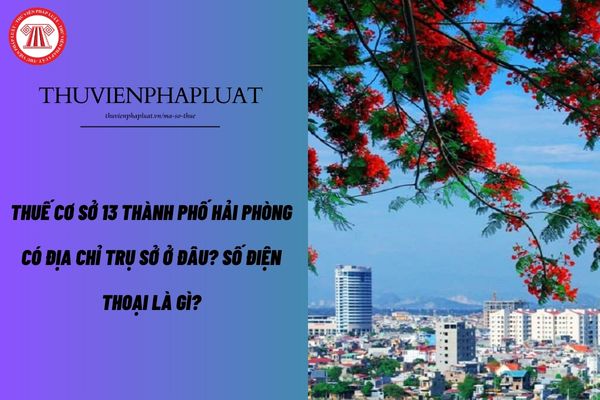 Pháp luật