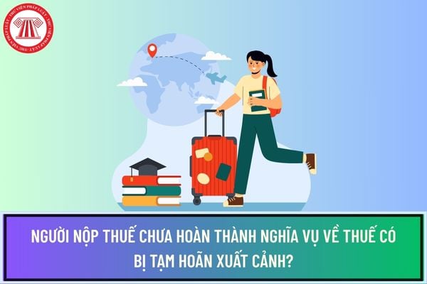Pháp luật